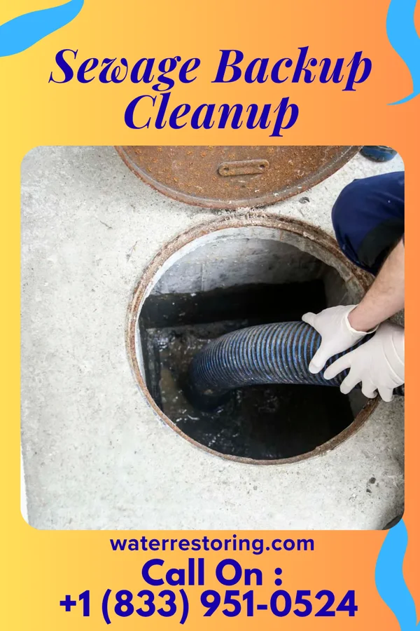 Sewage Backup Cleanup in Prescott, MI