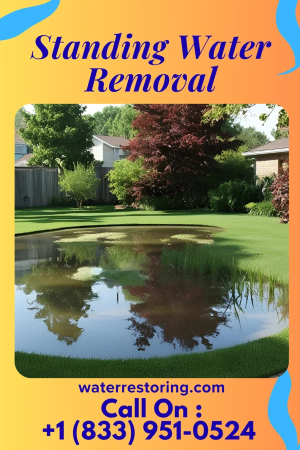 Standing Water Removal in Prescott, MI